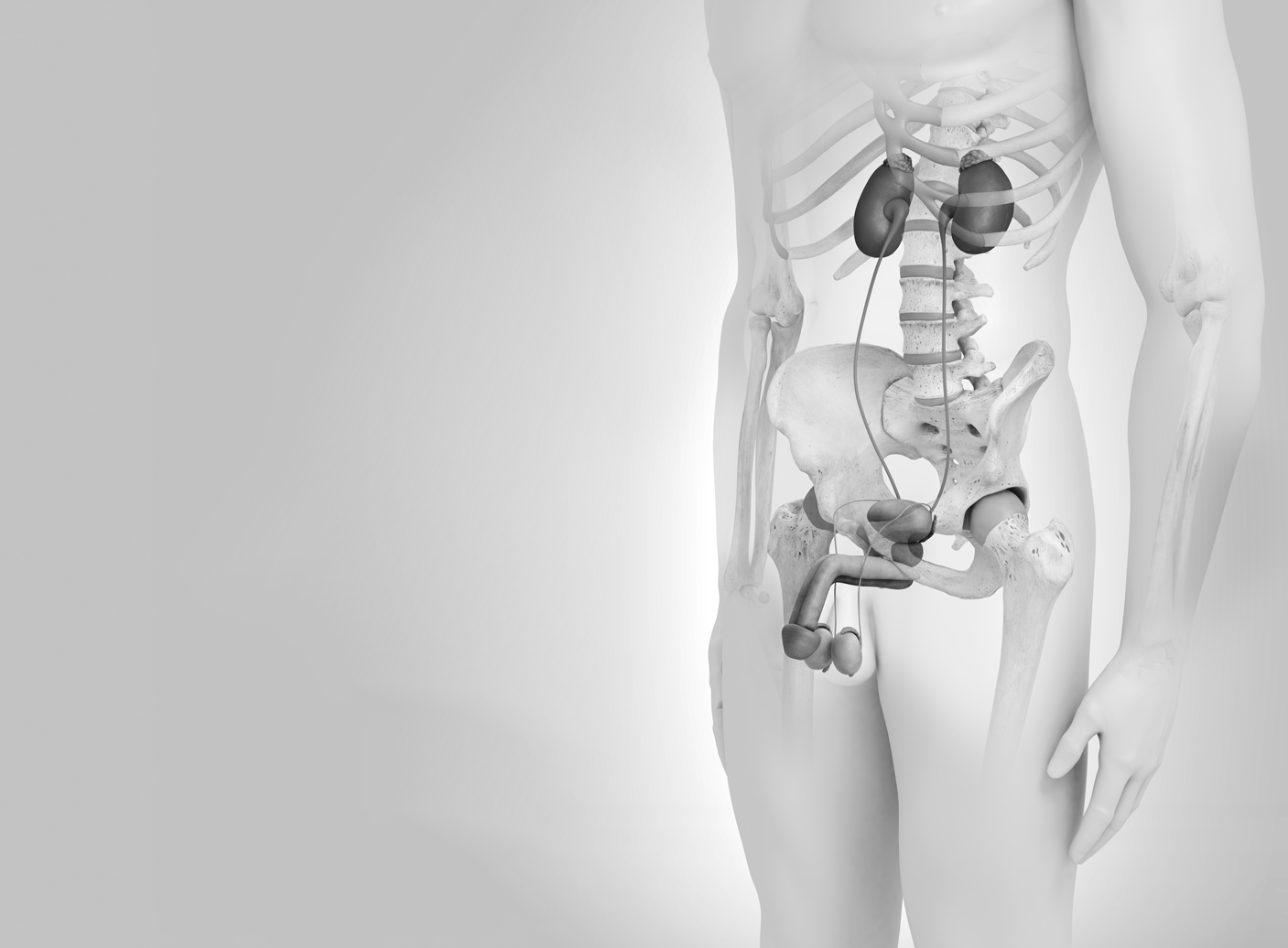 Urology
